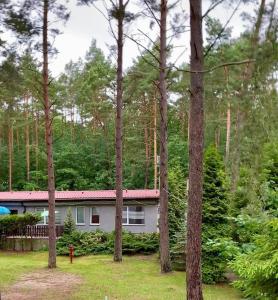 a house in the middle of a forest of trees at Ośrodek Wypoczynkowy Zakątek in Kąty Rybackie