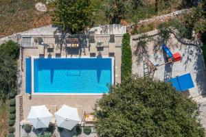 Family Villa Old Garden with heated swimming pool and private tavern في Opanci: اطلالة علوية على مسبح مع مظلات
