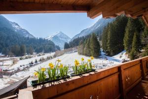 Hotel-Gasthof Waldcafé kapag winter