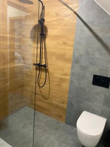uma casa de banho com um chuveiro e um WC. em Apartamenty przy Parku Szwedzkim em Szczawno-Zdrój