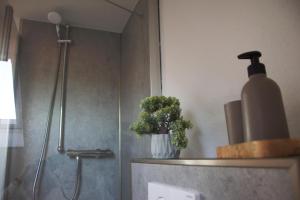 ein Badezimmer mit einer Dusche mit einer Vase mit einer Pflanze in der Unterkunft Roof Lounge in Südbrookmerland