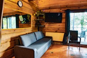 a living room with a couch and a tv at Ivanas Countryside in Bražuolė