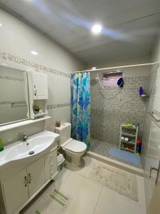 a bathroom with a sink and a toilet and a shower at Casa Bignonia Amplio y confortable Ideal para familias con niños y mascotas in Ciudad del Este