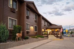 a deer standing in front of a building at Super 8 by Wyndham Gardiner/Yellowstone Park Area in Gardiner