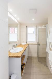 a bathroom with a sink and a shower at Panorama_Apartment 1 P6 optional P in Plau am See