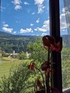 a flower in a window with a view of a field at Bela's Guesthouse in Mestia