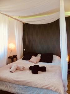 a bedroom with a white bed with a canopy at La Boucle des Molliers in Cenves