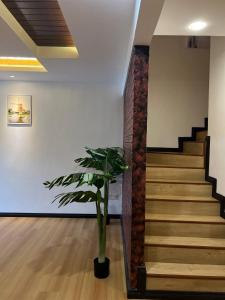 拿篤的住宿－The Garden House Lahad Datu，楼梯,在房间里栽有盆子的楼梯