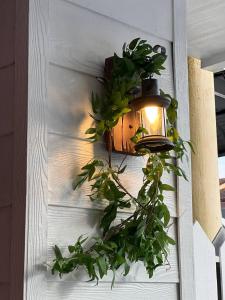 a light on a wall with a potted plant at The Garden House Lahad Datu in Lahad Datu