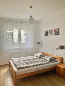ポズナンにあるMarcelin Apartments Poznańのベッドルーム(ベッド1台、窓付)