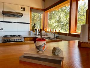 una cocina con un jarrón sentado en un mostrador en Alewekehue , la linda en San Carlos de Bariloche