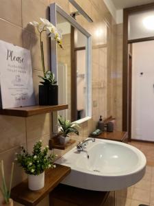 baño con lavabo, espejo y plantas en Appartamento Ai Palasi, en Vittorio Veneto