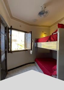a room with two bunk beds and a window at Tabia Tower City center aswan in Aswan