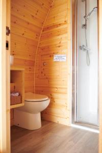 a bathroom with a toilet in a wooden wall at Foot of the Downs Shepherds Hut in Woodmancote