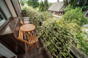 Vonkajšia záhrada v ubytovaní Apartmány Olešnice
