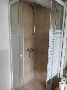 eine Dusche mit Glastür im Badezimmer in der Unterkunft Cottage chaleureux au calme in Salles-de-Barbezieux + 17 Fotos