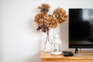 Televízia a/alebo spoločenská miestnosť v ubytovaní Apartmány Olešnice