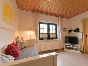 Μια τηλεόραση ή/και κέντρο ψυχαγωγίας στο Ferienhof Augustenhöhe +40 φωτογραφίες