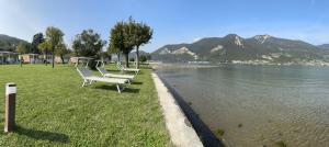 a row of chairs sitting on the grass next to the water at Belvedere Clusane Camping in Iseo