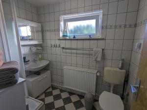ジールクスドルフにあるFerienwohnungen Alfred Neilsのバスルーム(トイレ、洗面台付)