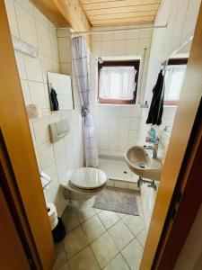 a small bathroom with a toilet and a sink at kleine ein Zimmer Wohnung mit Gartenanlage in Salem