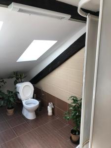 a bathroom with a toilet and a skylight at VLADIMÍR, rekreační středisko in Šternberk