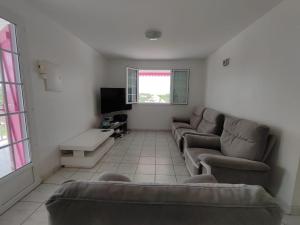 uma sala de estar com dois sofás e uma televisão em Villannéva Calme et Spacieuse avec piscine em Ducos