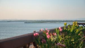 a view of a body of water with pink flowers at Park Hotel Residence in Orbetello