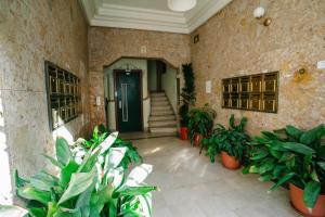 リスボンにあるAlameda Apartments & Roomsの植木の廊下