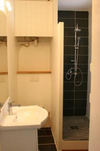 uma casa de banho com um lavatório e um chuveiro em Appartement Université-Capitole em Toulouse