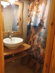 a bathroom with a sink and a shower curtain at La Piccola Baita di Filettino in Filettino