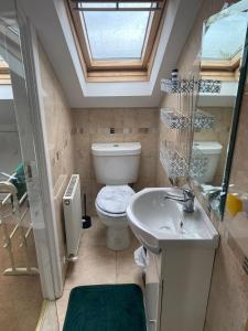 a bathroom with a toilet and a sink at ByTheSea in Malahide