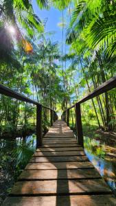 a wooden bridge in a jungle with trees and water at Casa da mata marajó in Salvaterra