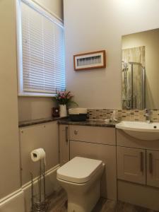 a bathroom with a toilet and a sink at A spacious 1 bedroom in an historic building in Newbury
