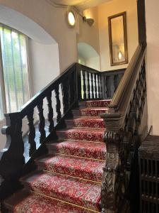 un escalier avec de la moquette rouge dans une maison dans l'établissement Hôtel Patricia - Strasbourg Hyper Centre, à Strasbourg