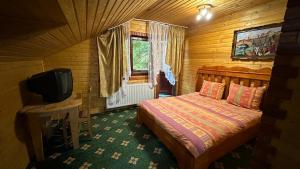 TV a/nebo společenská místnost v ubytování Complex Țurcana Transalpina