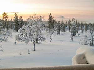 een met sneeuw bedekt veld met bomen in de verte bij Holiday Home Kelopirtti a by Interhome in Saariselkä