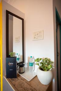 a bathroom counter with a mirror and a plant on it at Krishna Stay Guest House in Udaipur