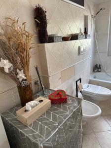 a bathroom with a sink and a toilet on a counter at COSTALUNGAHOUSE TrekkingBikeSki selfcheck-in apartment in Carezza al Lago