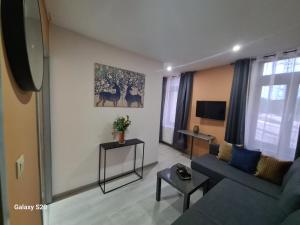 TV a/nebo společenská místnost v ubytování Liege