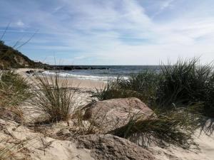 a beach with rocks and grass and the ocean at Holiday Home Lucie - 50m from the sea in Bornholm by Interhome in Rønne