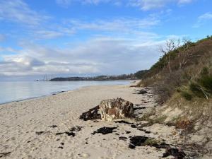 einen Strand mit einem Felsen auf dem Sand und dem Wasser in der Unterkunft Holiday Home Lucie - 50m from the sea in Bornholm by Interhome in Rønne