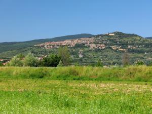a field of grass with a town on a hill at Apartment Rina by Interhome in Cortona +16 photos