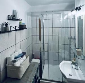 bagno con doccia e lavandino di STUDIO62 a Câmpulung Moldovenesc