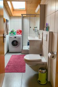 a bathroom with a toilet and a sink and a washing machine at Apartment Uf dr Fuhre by Interhome in Adelboden
