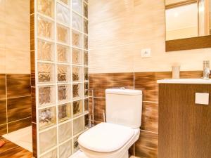 a bathroom with a toilet and a sink at Apartment Mas des Grives by Interhome in Bauduen