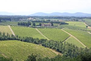 an aerial view of a vineyard with a castle in the middle at AGRITURISMO VICOLABATE in San Casciano in Val di Pesa