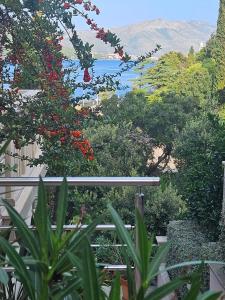 einen Garten mit Blick auf das Wasser und die Bäume in der Unterkunft Villa Jade Apartments FRONT ROW SEA VIEW - WALK TO KORCULA OLD TOWN in Korčula