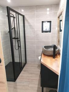 La salle de bains est pourvue d'un lavabo et d'une douche. dans l'établissement bungalow au calme, à Saint-Savournin