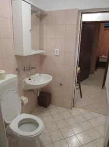 a bathroom with a toilet and a sink at Villa Kučan in Porat
